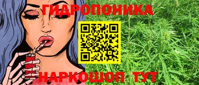 дживик Гатчина