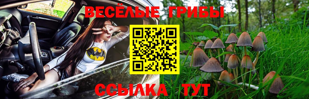 Псилоцибиновые грибы GOLDEN TEACHER  Вход с VPN  Киселёвск 